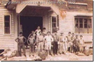 imigrantes japoneses